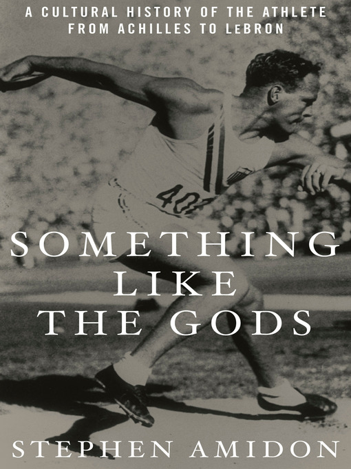 Title details for Something Like the Gods by Stephen Amidon - Available